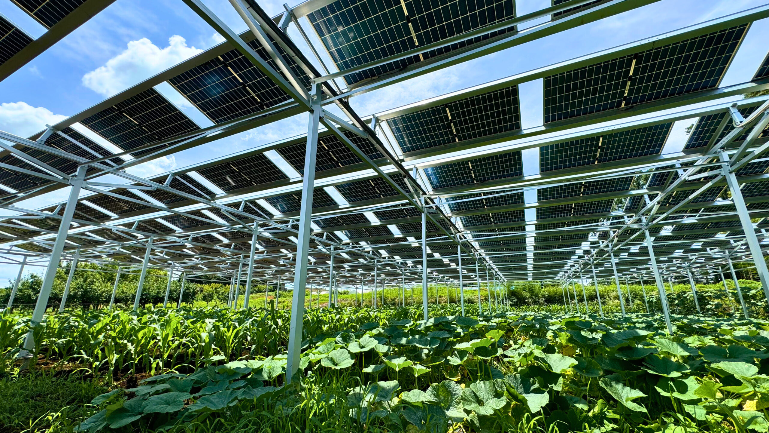 EG筑西市布川第二発電所の様子